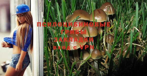 дмт Аркадак