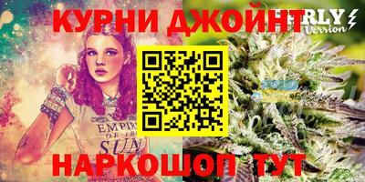 ПСИЛОЦИБИНОВЫЕ ГРИБЫ Новозыбков