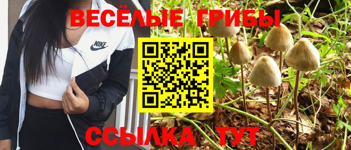 Псилоцибиновые грибы Magic Shrooms  сколько стоит  Ярославль  Вход с VPN 