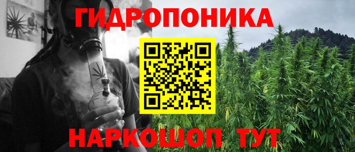 Ярославль  Шишки марихуана ГИДРОПОН  Вход с VPN  Бошки марихуана семена  Канабис White Widow 